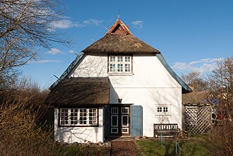 Kotten in Ahrenshoop