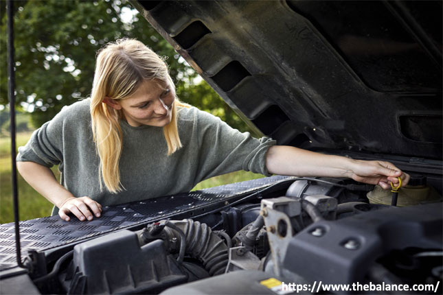 Insurance and maintenance cost